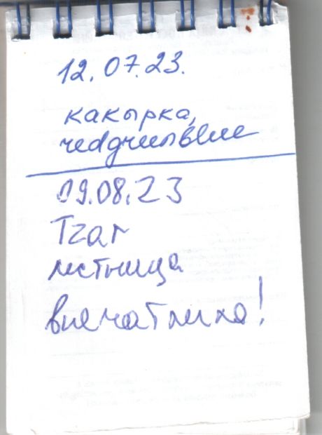 TR17713-331.jpg