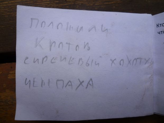 Нажмите, чтобы посмотреть в полный размер