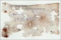 MS1195-101.jpg