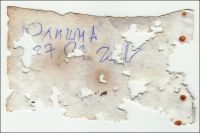 MS1195-102.jpg