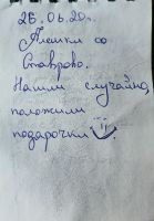 TR1430-203.jpg