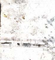 TR15587-212.jpg