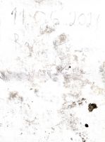 TR15587-218.jpg