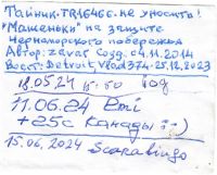 TR16466-301.jpg