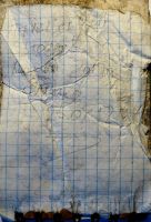 TR17386-202.JPG