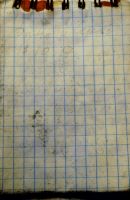 TR17386-203.JPG
