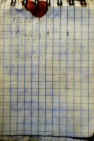 TR17386-206.JPG