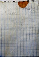 TR17386-211.JPG