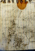 TR17386-213.JPG