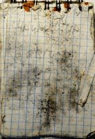 TR17386-214.JPG