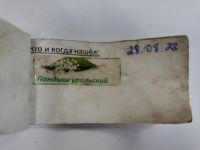 TR25839-210.jpg