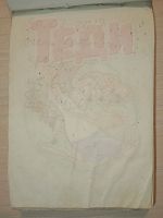 TR7042-124.JPG
