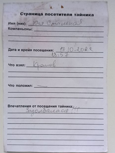 17~1.jpg